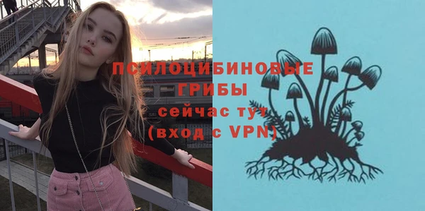 эйфоретик Зеленодольск