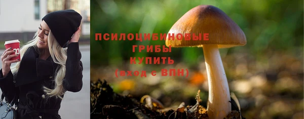 эйфоретик Зеленодольск
