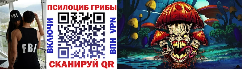 Псилоцибиновые грибы мицелий  mega зеркало  Междуреченск 